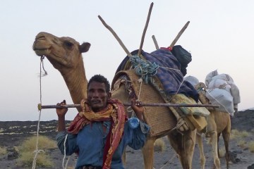 Afar with camels