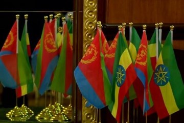 Eritrean and Ethiopian flags at talks