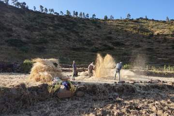 Tigray Farmers