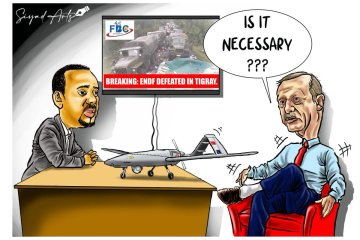 Abiy Erdogan cartoon