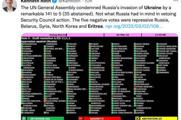 UN Ukraine Vote