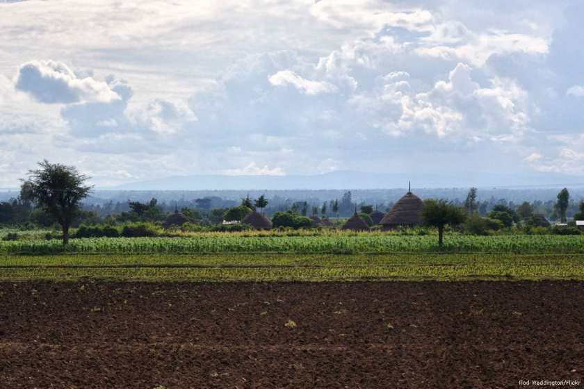 Image of Ethiopian farmland on 16 March 2015 [Rod Waddington/Flickr]